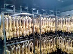 湖北周黑鸭冷风干燥案例